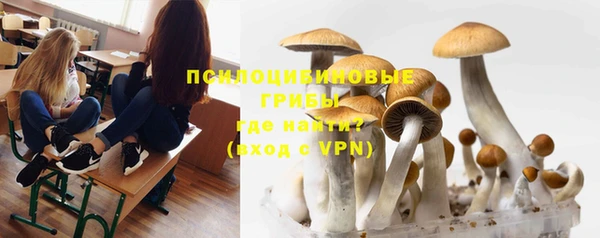 ПСИЛОЦИБИНОВЫЕ ГРИБЫ Балахна