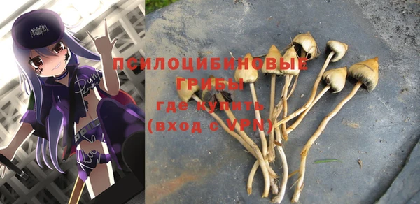 дурь Баксан