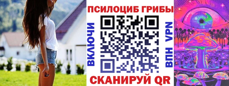 маркетплейс наркотические препараты  Серафимович  Галлюциногенные грибы Cubensis 